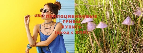 а пвп мука Вязьма